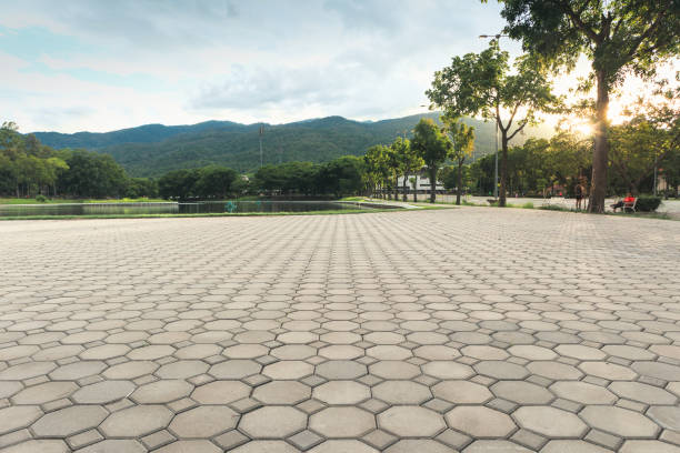 Best Concrete Paver Driveway  in Douglas, AL